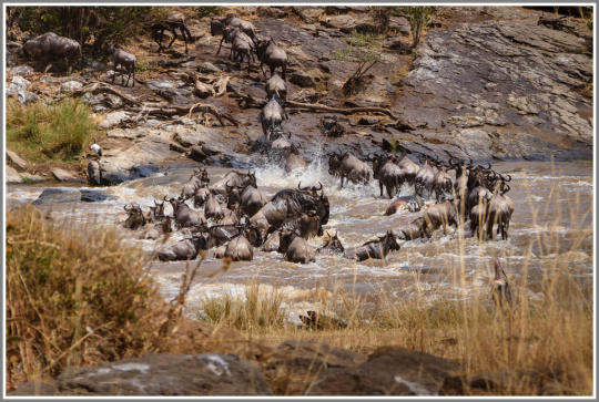 佳能5d270-200教程,佳能5d2单反操作及摄影完全攻略