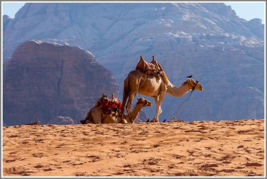 佳能5d270-200教程,佳能5d2单反操作及摄影完全攻略