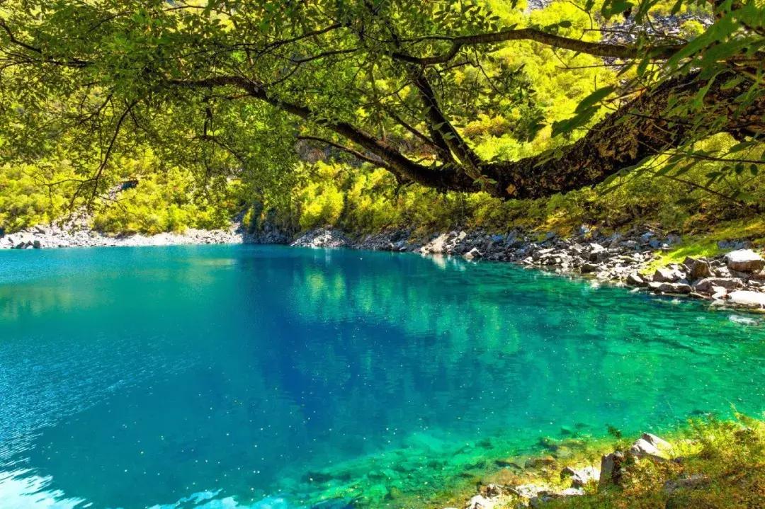 四川青城山景区免票,四川对浙江省免票的旅游景区