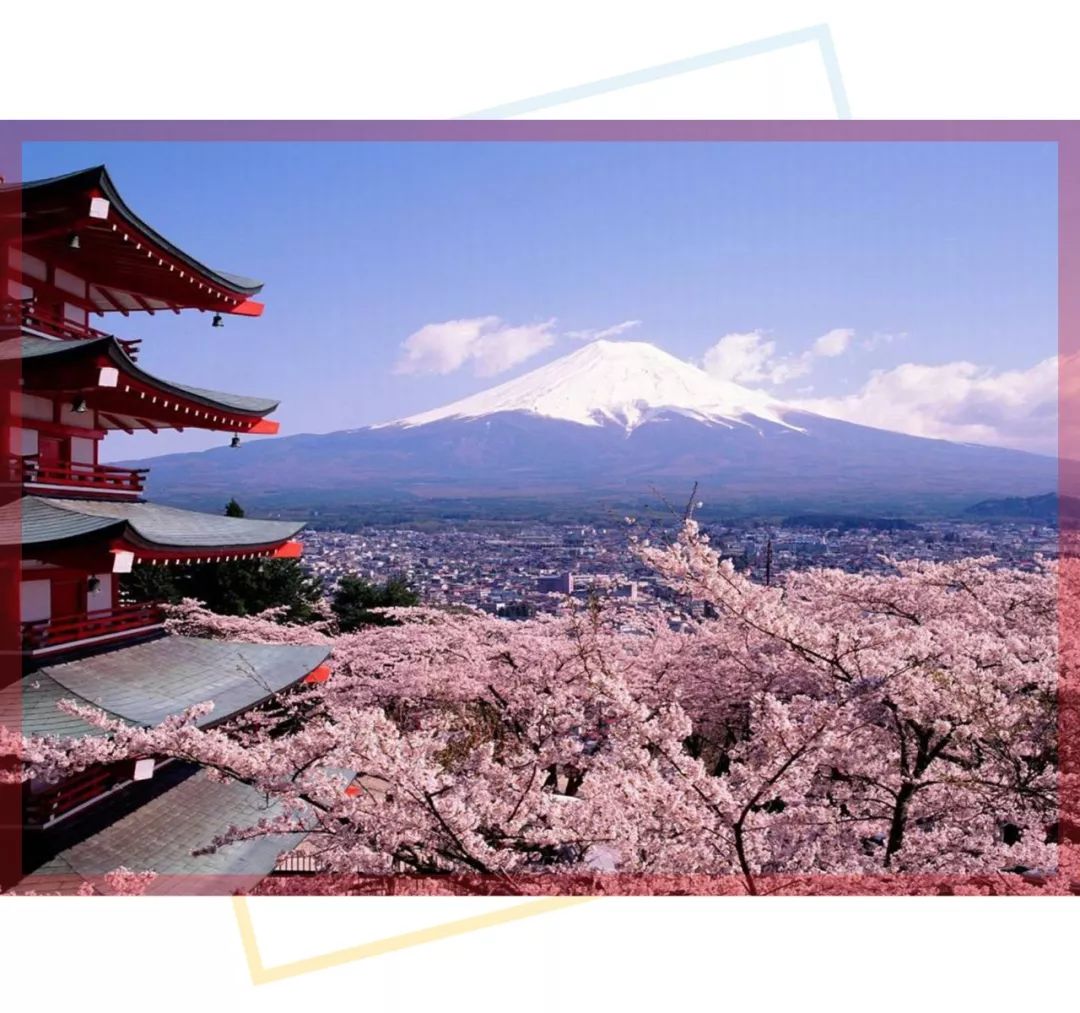 怎么找靠谱的日本代购,日本代购有哪些比较靠谱的