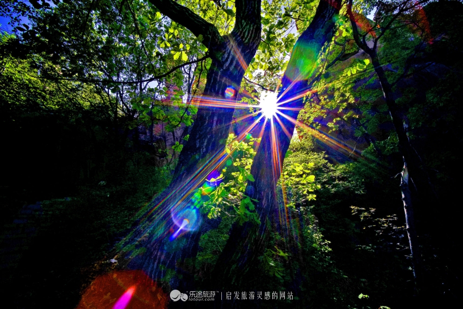 周总理关注的“辽西绿岛”已是天然氧吧