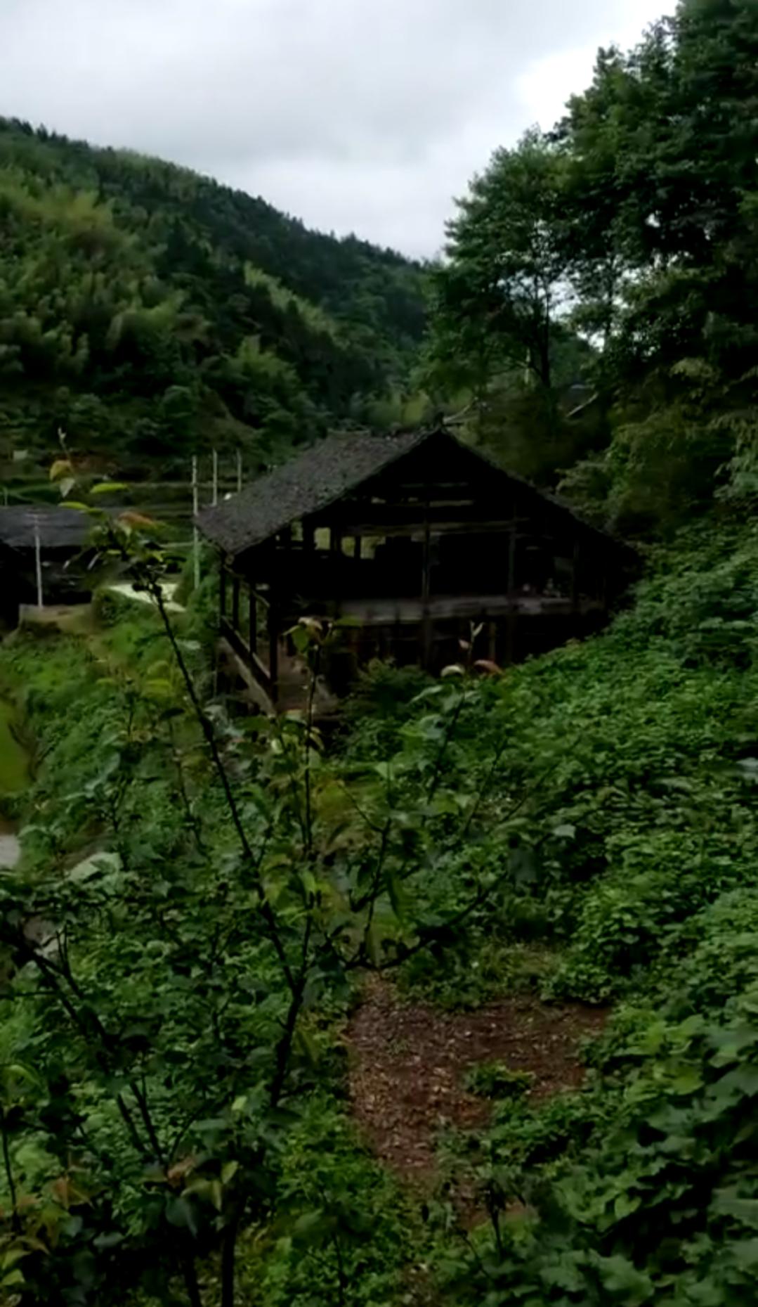 午夜鬼灵异事件,灵异鬼事件真实案例