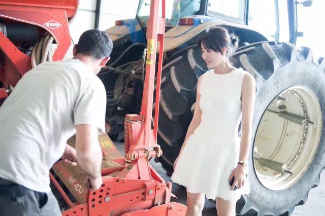 honeydew浜у湴,honeydew铚傝湝