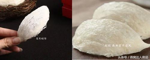 真的燕窝跟假的燕窝有什么区别,怎样用简单的方法辨别真假燕窝