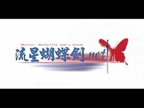 流星蝴蝶剑手游新手适合哪个武器,流星蝴蝶剑手游拳厉害还是枪厉害