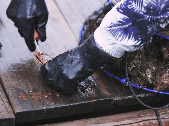 用它素颜也敢出门,用它素颜出门光彩照人