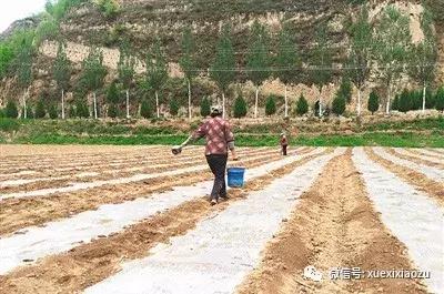 习*平近**说不要小看陕北这里,这是有大学问的地方