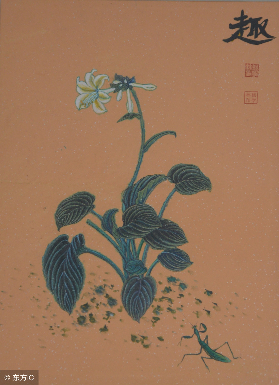 草间弥生《对花的痴迷》——日本创新文化的一角