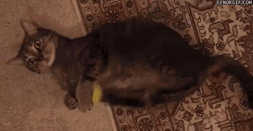 眼皮跳是左眼跳财还是右眼跳灾,眼皮跳真的是左眼跳财右眼跳灾