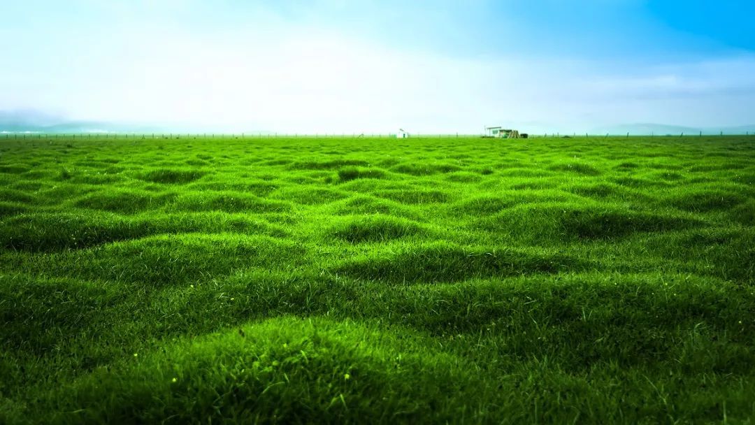 连绵的群山、广袤的草原、蜿蜒的河流……它就是独一无二的若尔盖