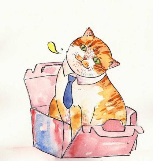 怎样知道猫咪的星座是什么座,十二星座的猫咪性格排名