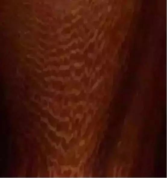 海南黄花梨木品种大全,名贵木材海南黄花梨