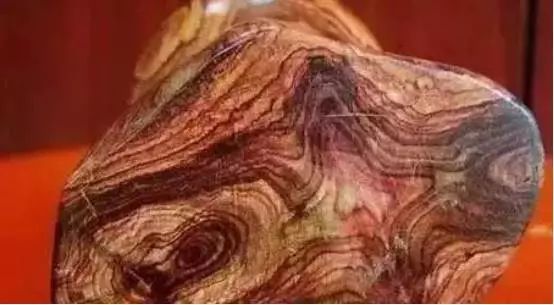 海南黄花梨木品种大全,名贵木材海南黄花梨