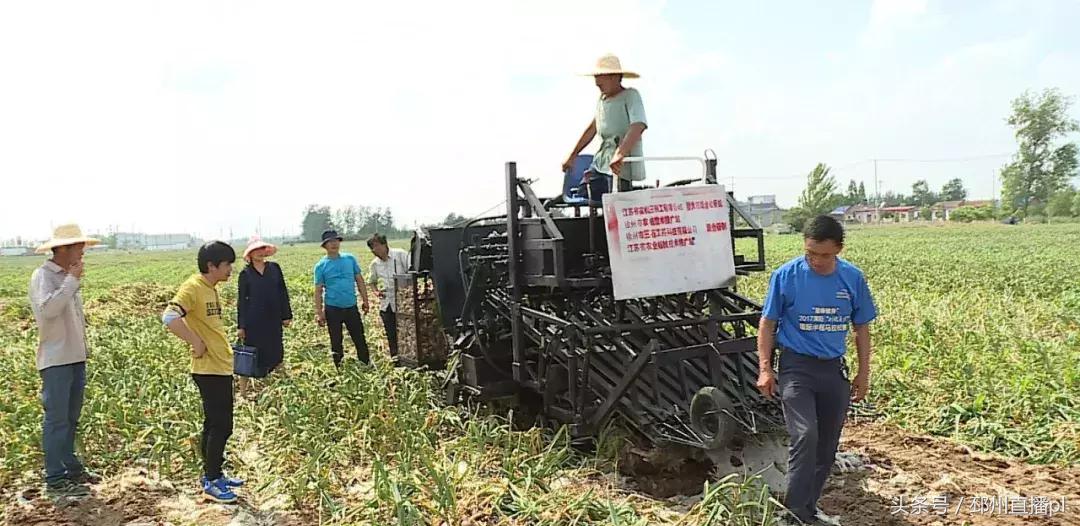 有了这个大家伙，蒜农再也不用为起蒜发愁了！