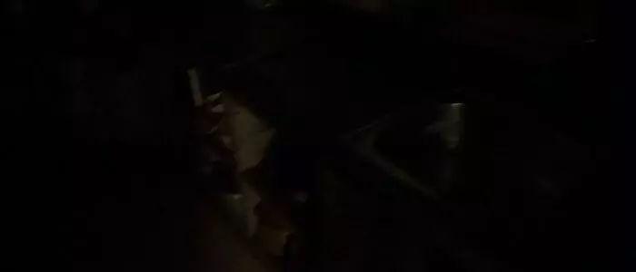 我竟然给蟑螂买了一套房子并请它喝了一罐哈尔滨？