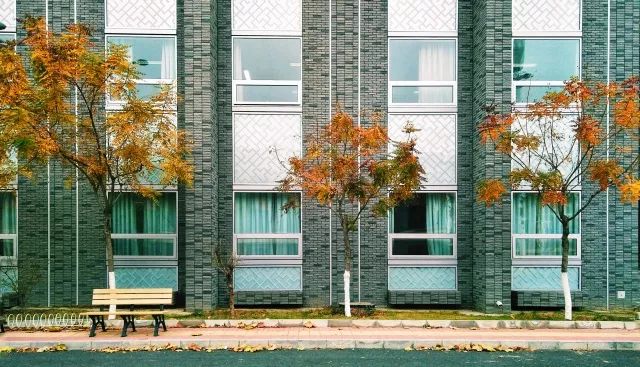 嘿我喜欢你,嘿我喜欢你照片