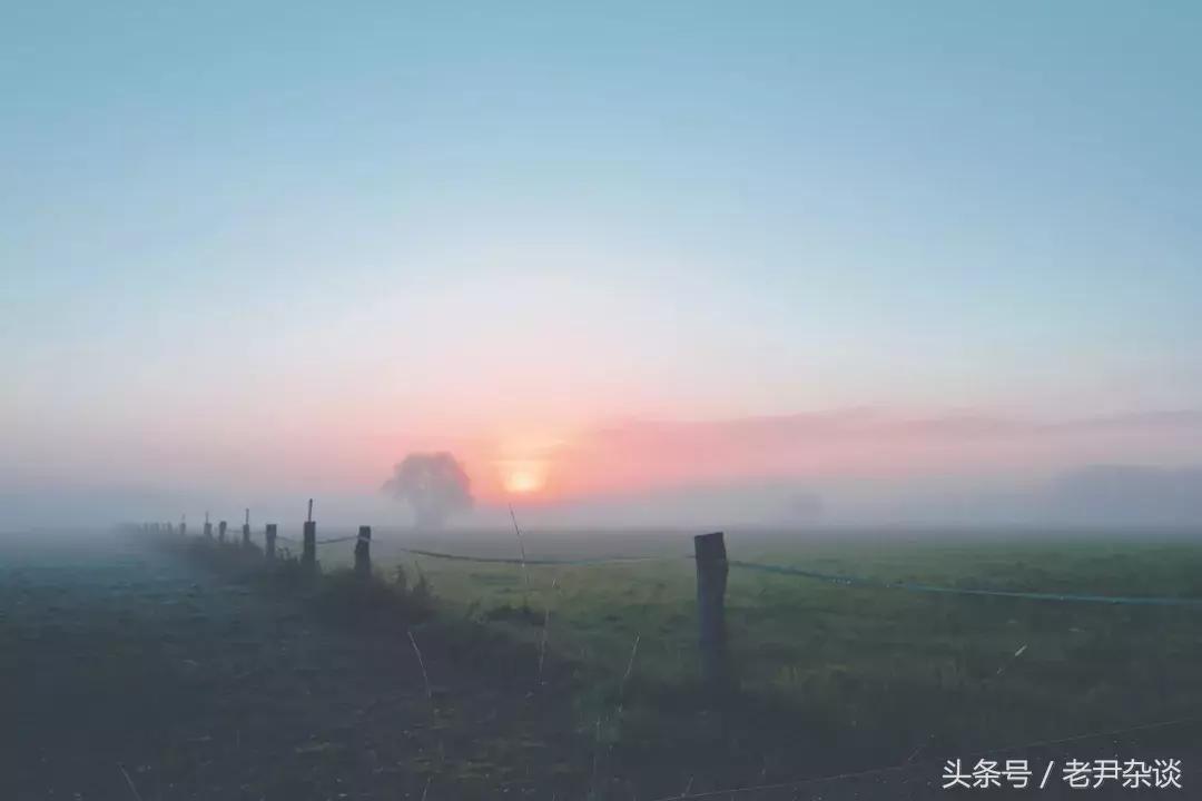 老女司机上路,新手司机提车