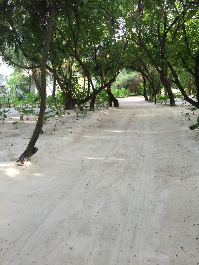 马代有毒，去过就停不下来~马尔代夫奥臻岛ozen