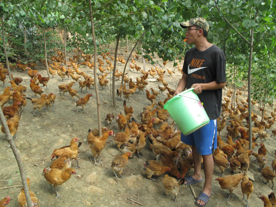 你不知道的创业小项目,农村创业什么才是挣钱的门路