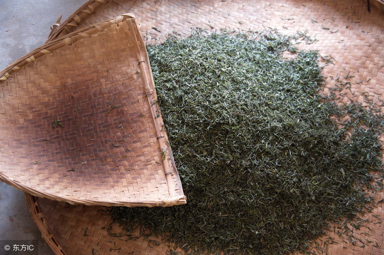 信阳毛尖云雾山茶怎么样,信阳毛尖茶推荐