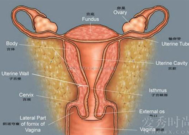 疤痕子宫可以生三胎剖宫产吗,一次剖宫产会有两道疤痕吗