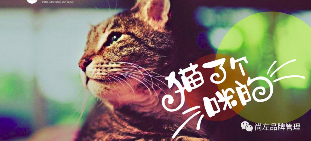 王者荣耀教学操作图手绘高清,王者荣耀玩法详细讲解图手绘