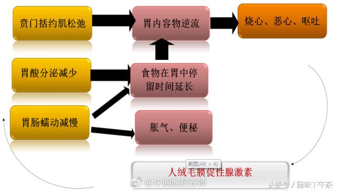 早孕反应强烈是因为hcg高吗,早孕反应为什么会饿得厉害