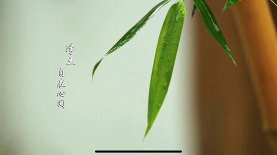 扬州半闲楼古风美宿特色民宿,藏于山水间清净雅致的民宿