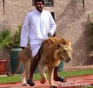 去了夏威夷才知道女人不用穿bra,去了斐济才知道,男人不爱穿裤子