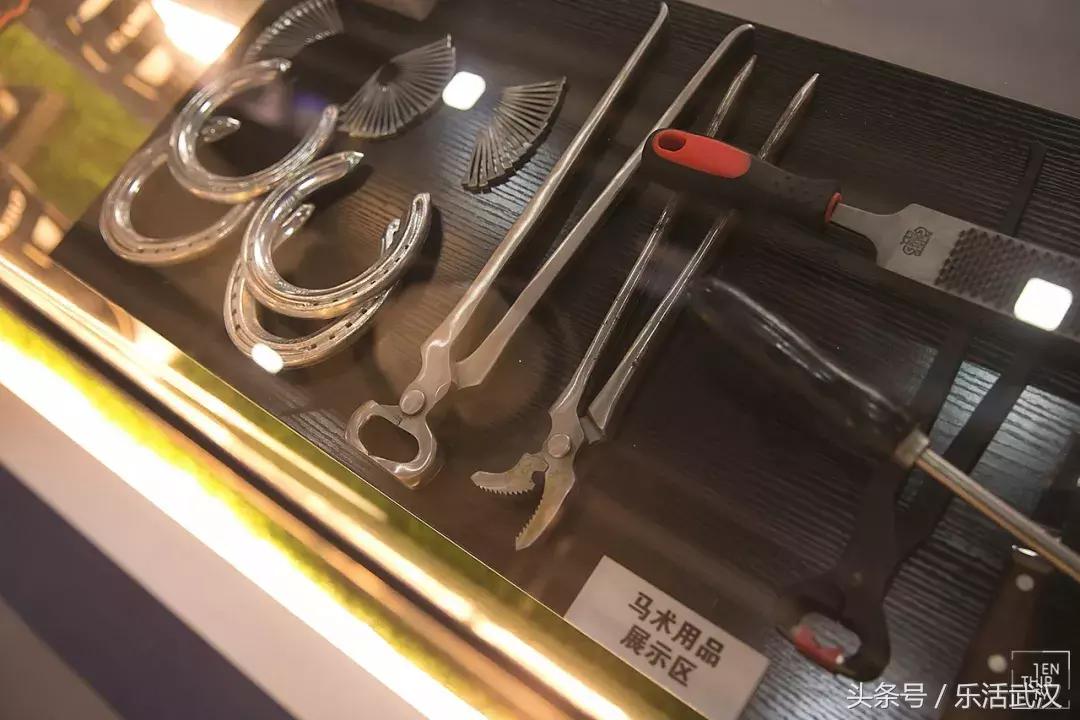 武汉有名的别称,武汉各个大学绰号