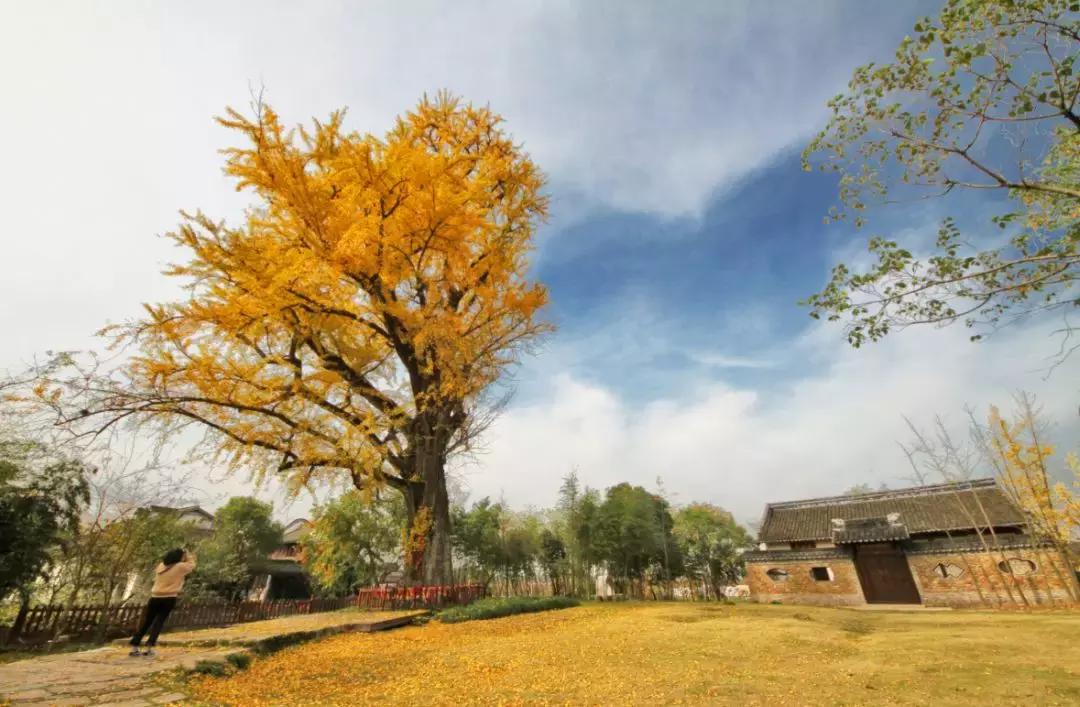 嘉兴西塘旁边还有什么好玩的地方,乌镇和西塘都在嘉兴吗