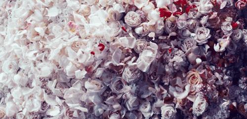 十大最好闻的香水小样,十大让人上瘾的香水