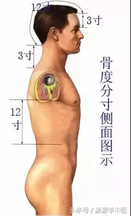针灸推拿穴位图,常用穴位快速取穴
