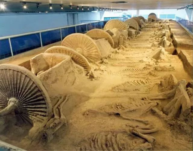 潍坊济青中线通车时间,济青高铁开通后计划车次