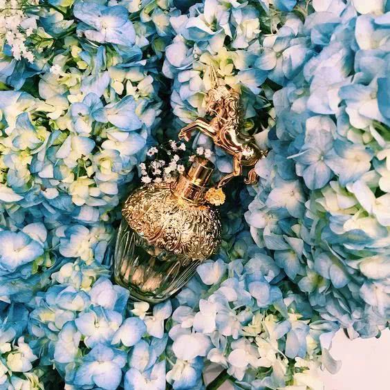 夏天用香水让你更加有魅力,这个夏天用的清爽香水