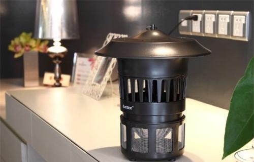 家里小虫子到处爬怎么彻底清除,家里小虫子飞