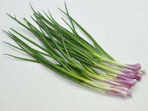 家里小虫子到处爬怎么彻底清除,家里小虫子飞