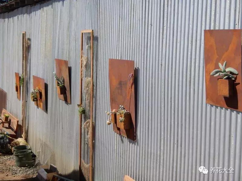 老外私家花园景观,国外多肉花园