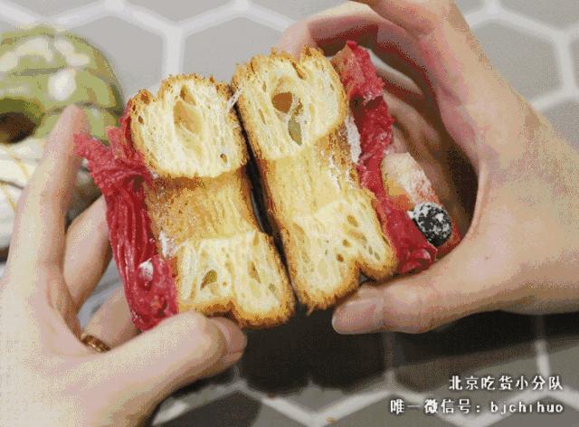 可爱的小奶狗吃冰激凌,小奶狗吃各种各样的冰淇淋