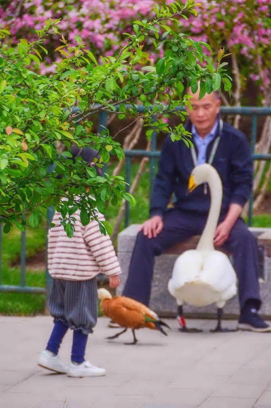 景点失恋博物馆,广州失恋博物馆与失恋星空博物馆