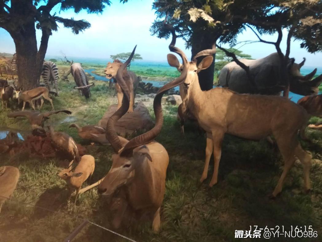 不只国博和故宫，*今条头日**上的最美博物馆，让人大呼神奇！