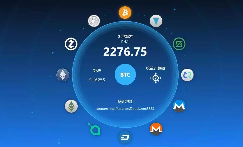 观赏鱼世界七彩神仙鱼,鱼池创始人毛世行