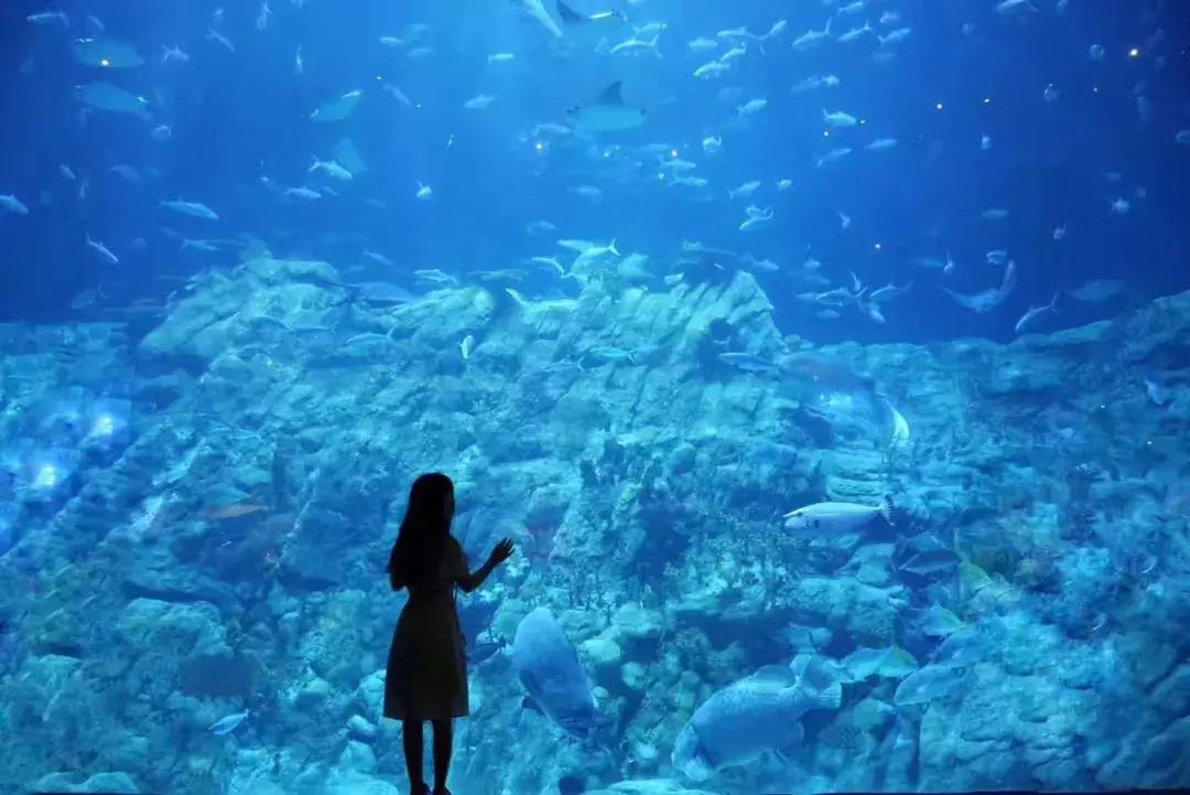 夏天去哪里旅游最好拍写真,夏天旅游适合拍什么写真