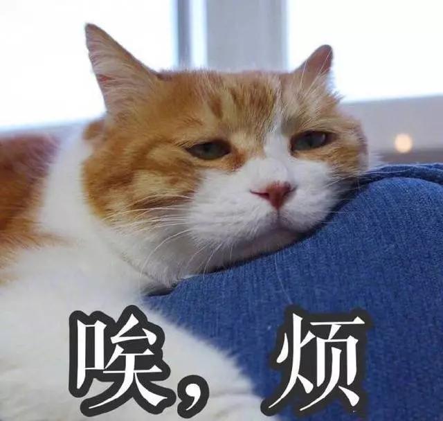 份子钱掏空了多少年轻人,份子钱压垮年轻人的最后一根稻草