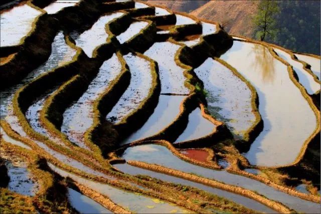 攀枝花市周边清凉避暑去哪里最好,夏季攀枝花旅游景点打卡推荐