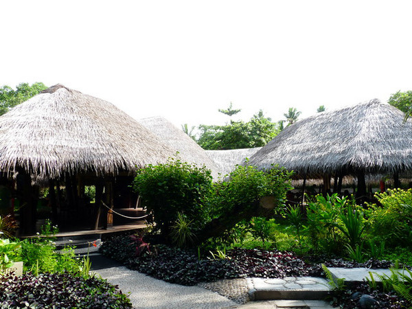 马尔代夫月桂岛攻略,7月份去马尔代夫