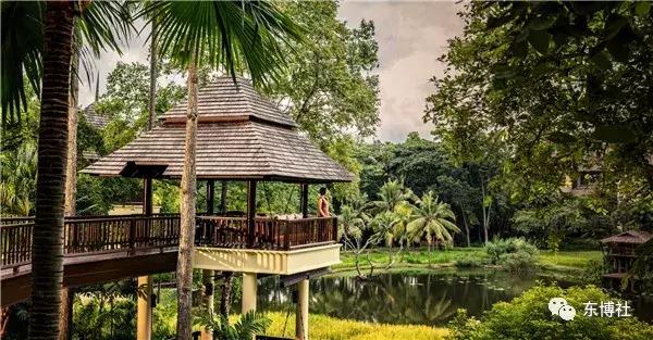 清迈四季酒店亲子,清迈四季酒店景观设计