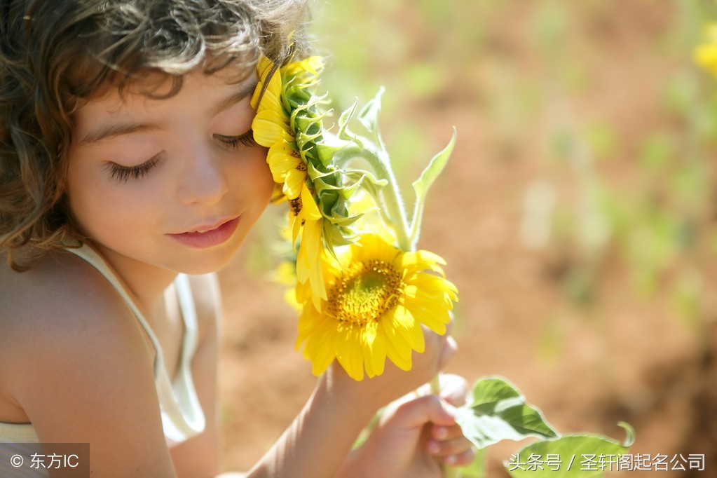 韩姓虎年女孩名字洋气有涵养,韩姓女孩的名字大全