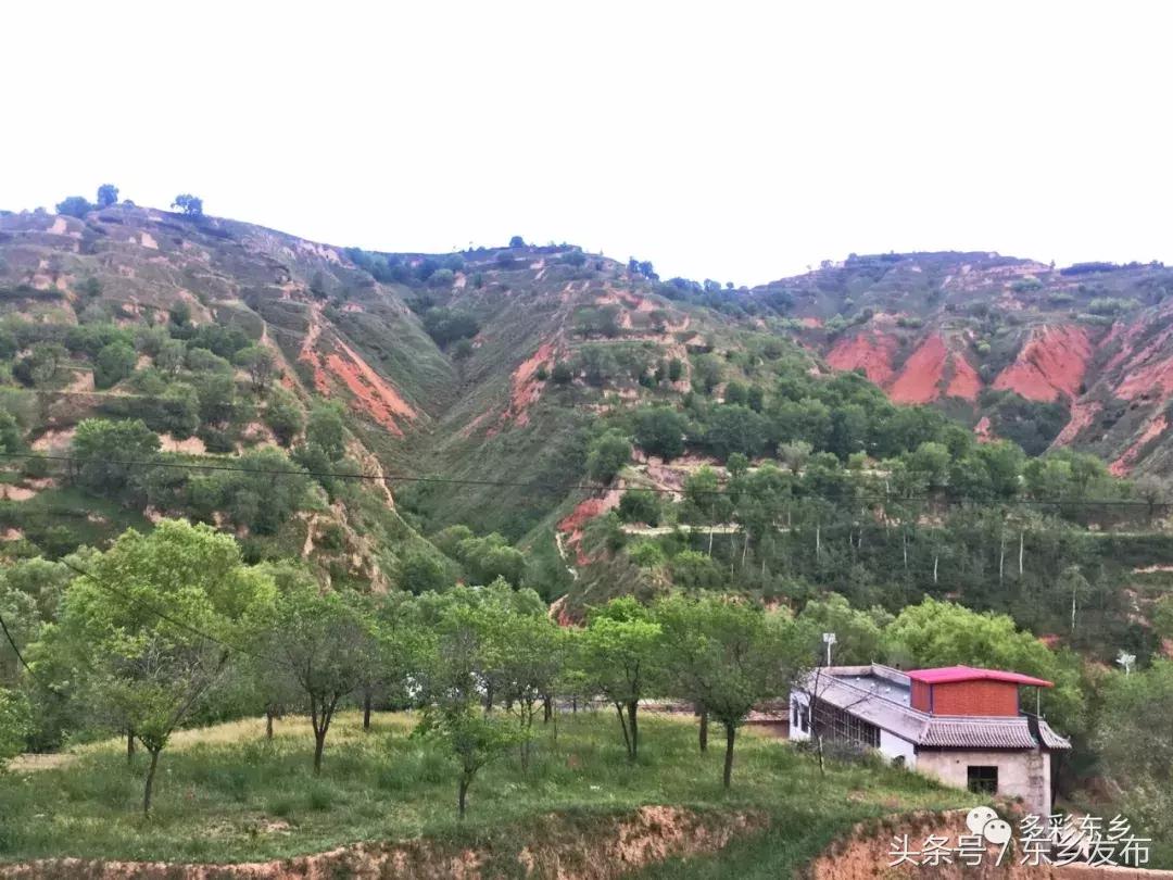 临夏东乡：一家三代*产党共**员的为民情怀