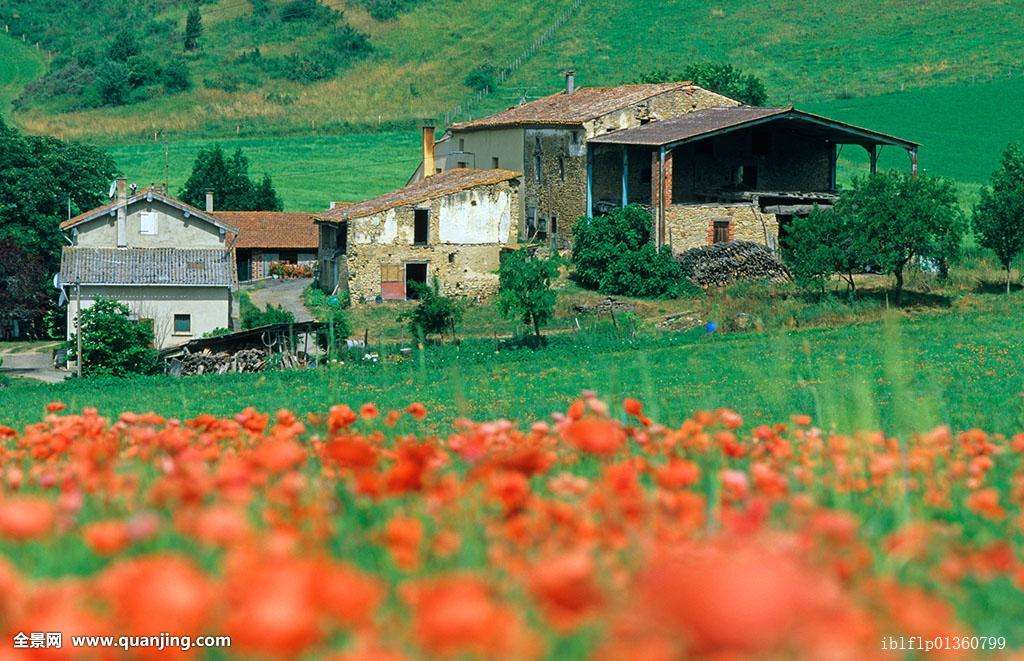 2022三年级语文下册期末测试卷,2021年三年级下册语文期末试卷